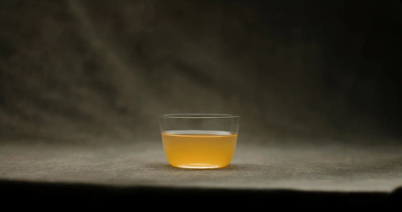 Grüner Tee Wirkung – wissenschaftlich erklärt - Noema