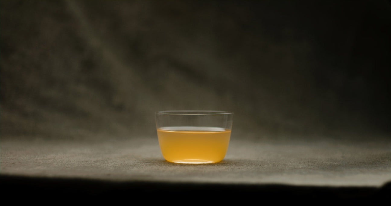 Grüner Tee Wirkung – wissenschaftlich erklärt