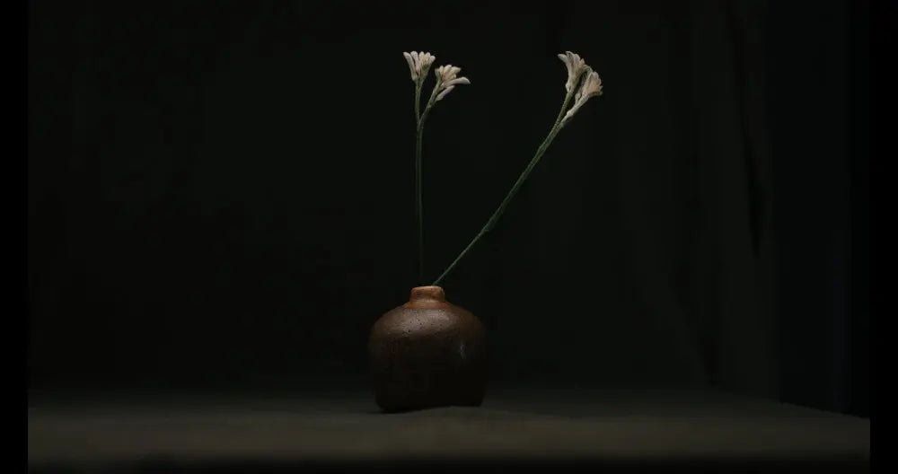 Fünf Bücher, die die Welt des Tees öffnen - Noema