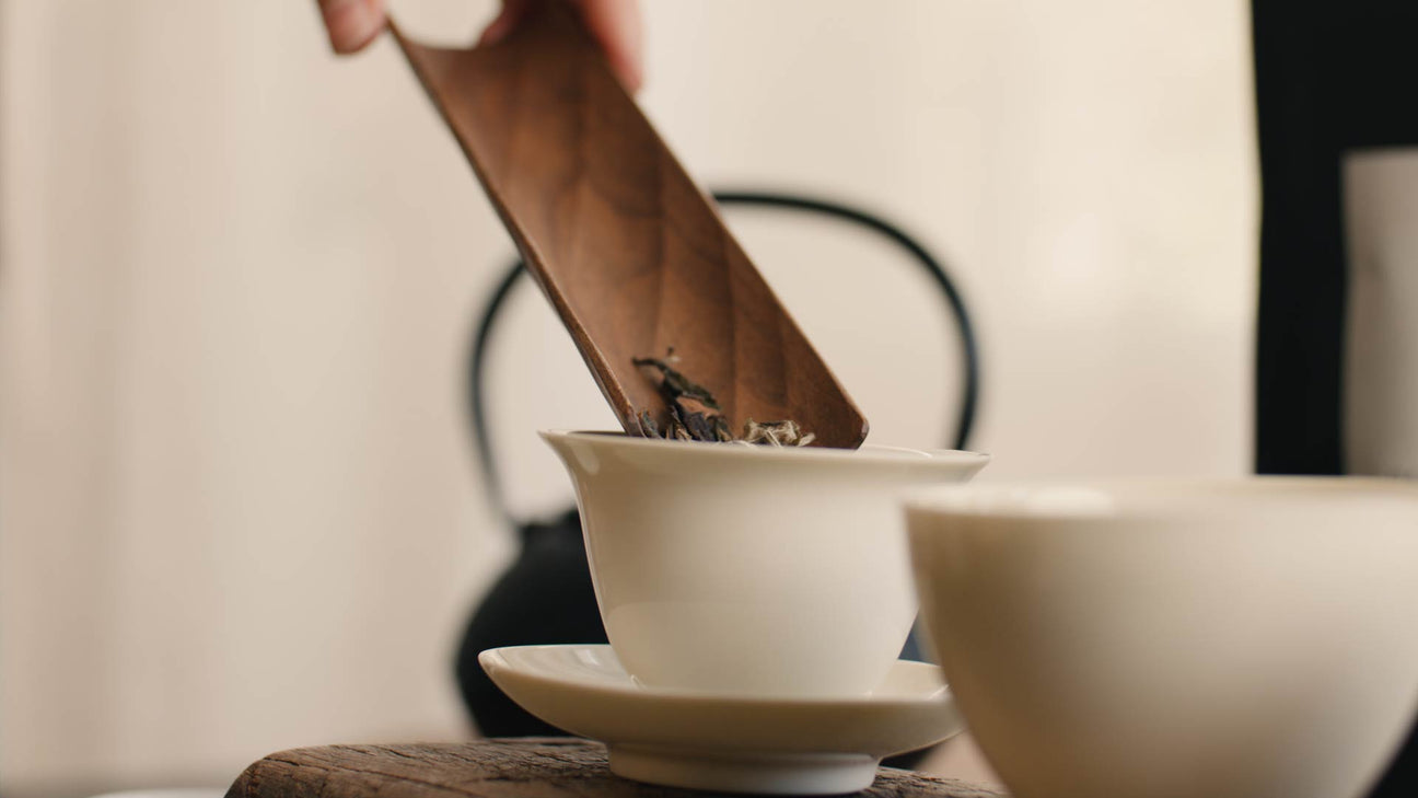 Tee-Sorten im Vergleich: Unterschiede, Geschmack & Wirkung