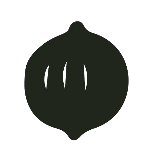 haselnut-icon - Noema