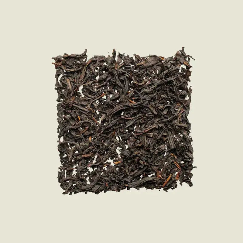 Benifuuki - Noema - Loser Blatttee von oben fotografiert