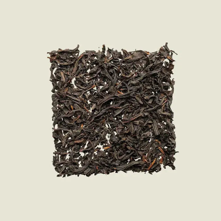 Benifuuki - Noema - Loser Blatttee von oben fotografiert