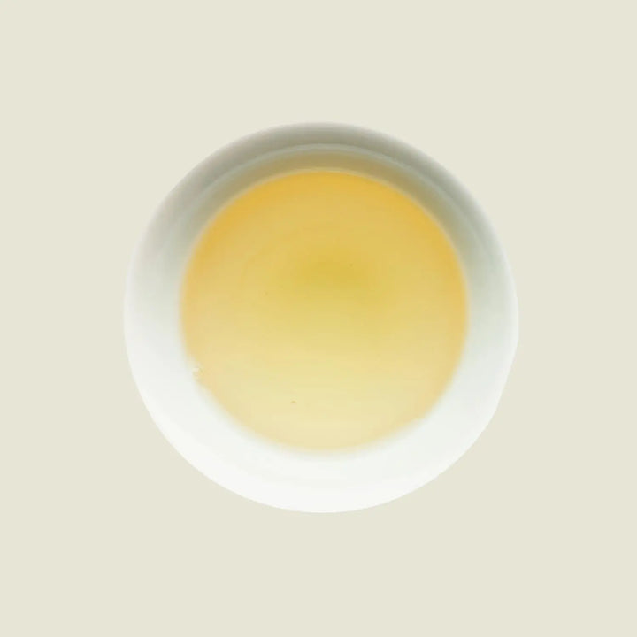 Moonlit Sencha - Noema - Tassenfarbe helles grün von oben fotografiert