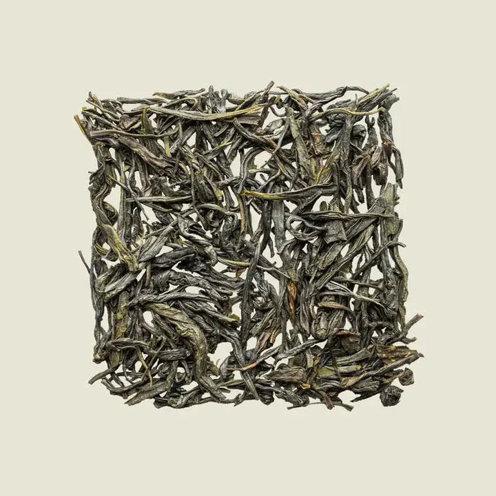 Palace Needle - Noema - Loser Tee von oben fotografiert