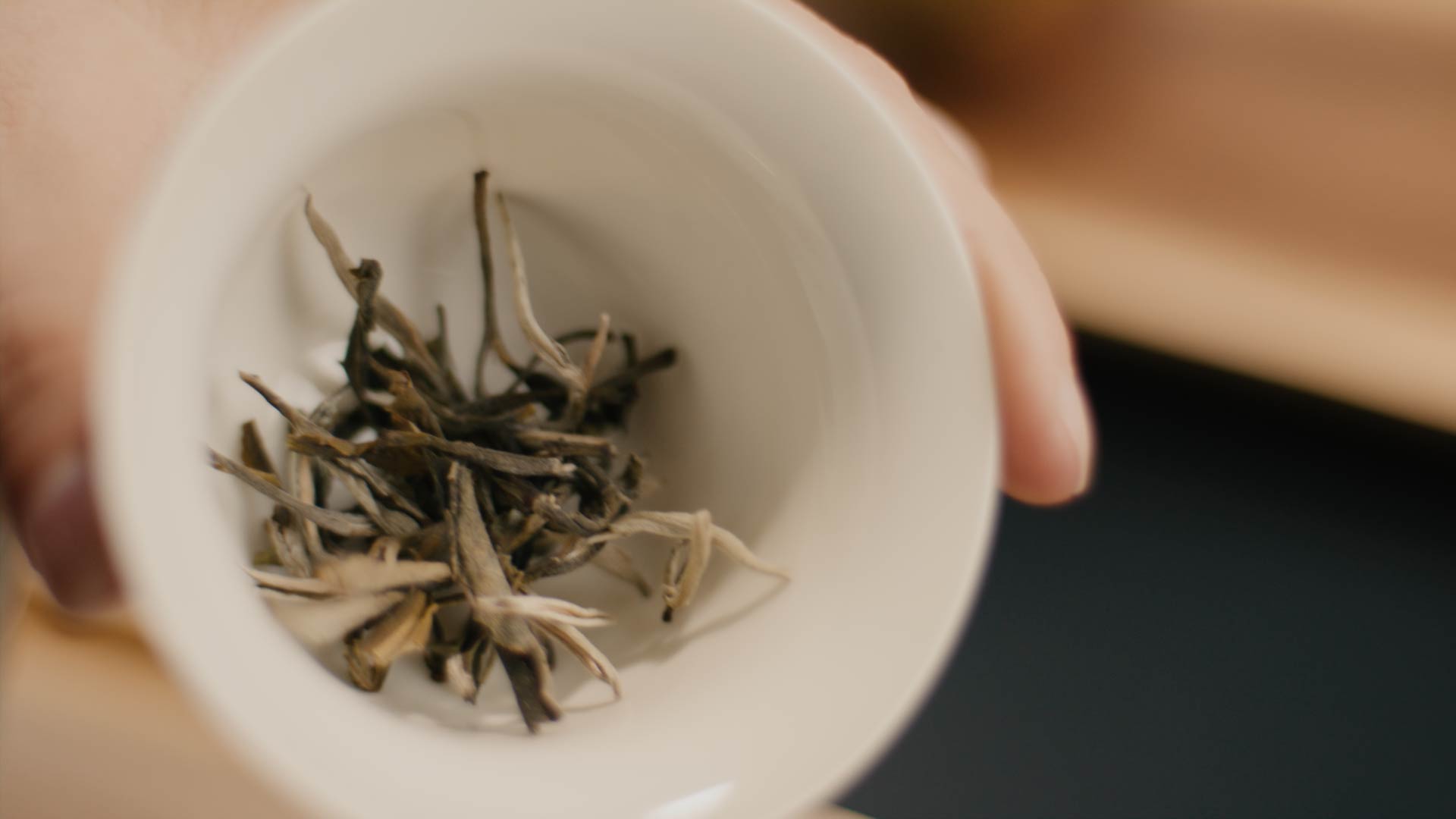 Huang Ya gelbe Teeblätter im Gaiwan vor dem Aufguss