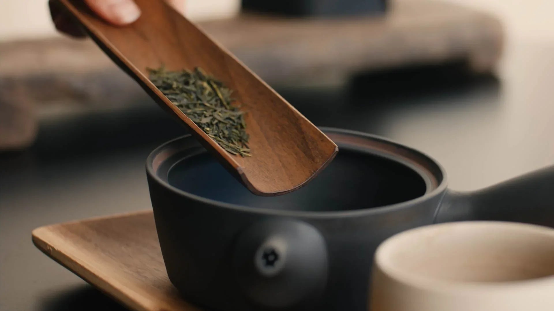 noema_moonlit_sencha_green_tea_leaves_in_kyusu_gruene_teeblaetter_in_kyusu - Noema